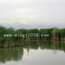 ḻ