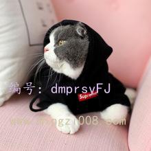 ˲
