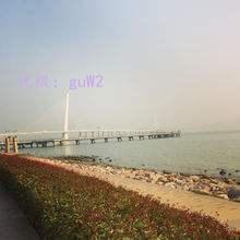 ̬