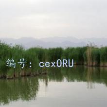 ḻ