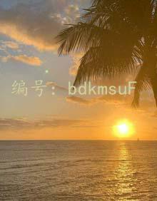 ḻ