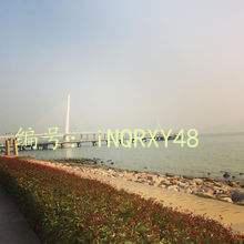 ɹ